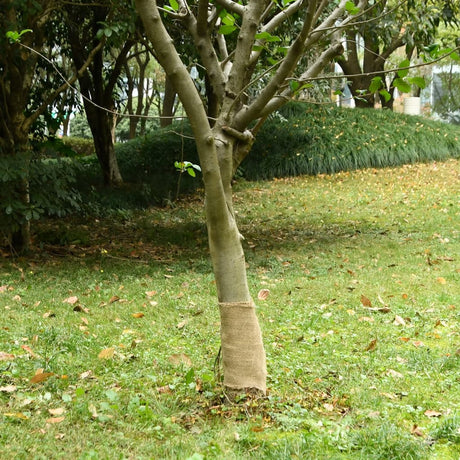 Vidaxl jute rol 200 g m² 0,25x100 m 100% jute