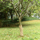 Vidaxl juterol 0,5x25 m 100% jute 200 g m²