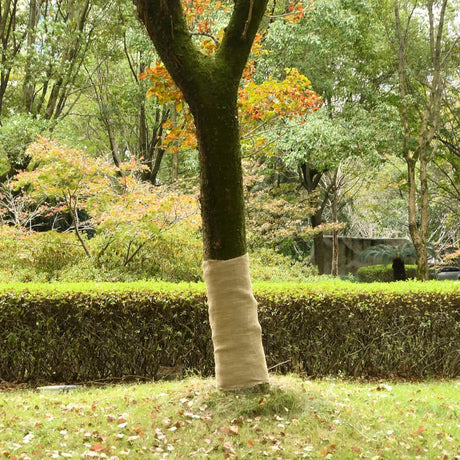 Vidaxl juterol 1x5 m 100% jute 200 g m²