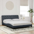 Vidaxl bedframe zonder matras 160x200 cm fluweel donkergrijs