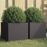 Vidaxl Planters 2 ST 32x30x29 cm stalowa czarna