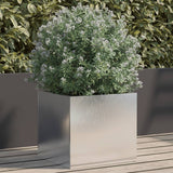 Vidaxl Planter 32x30X29 cm Edelsteier Sëlwer faarweg