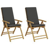 Vidaxl tuinstoelen 2 st inklapbaar met kussens bamboe