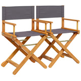 Vidaxl regisseursstoelen 2 st inklapbaar stof donkergrijs