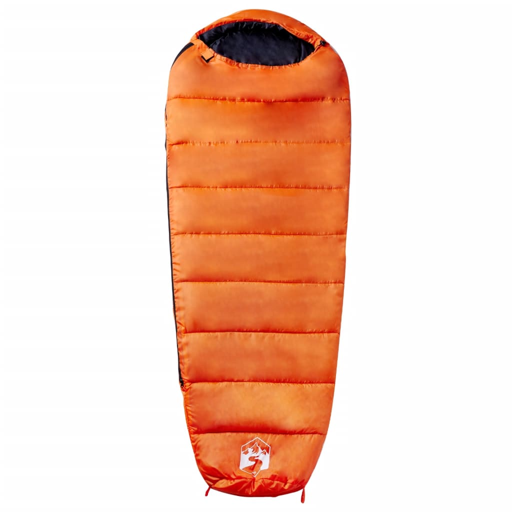 Vidaxl Sleeping Sac Maman pour les adultes campant 3 saisons