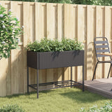 Vidaxl Plannet z Schap Poly Rattan Black