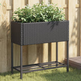 VidaXL Plannet with Schap Poly Rattan Black