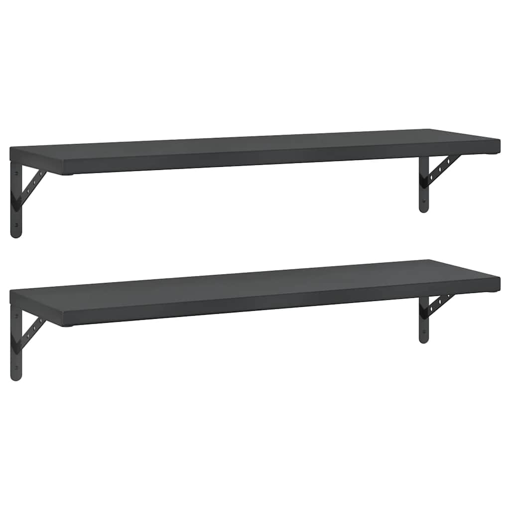 Vidaxl wandschappen 2 st 100x30 cm roestvrijstaal zwart