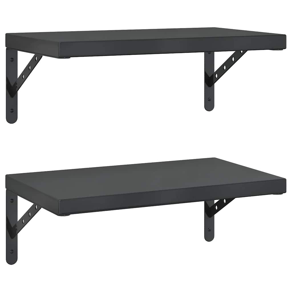 Vidaxl wandschappen 2 st 50x30 cm roestvrijstaal zwart