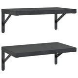 Vidaxl wandschappen 2 st 50x30 cm roestvrijstaal zwart