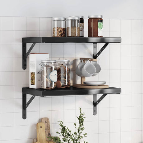 Vidaxl wandschappen 2 st 50x30 cm roestvrijstaal zwart