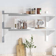 Vidaxl wandschap 2-laags 100x30x60 cm roestvrijstaal zilverkleurig