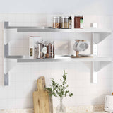 Vidaxl wandschap 2-laags 100x30x60 cm roestvrijstaal zilverkleurig