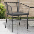 Vidaxl tuinstoelen 2 st met kussens poly rattan zwart