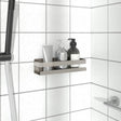 Vidaxl doucherekje 23x6,5x6 cm geborsteld 304 roestvrij staal