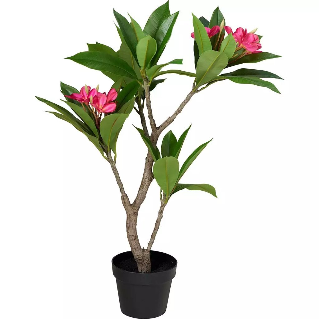 Overige merken kunstplant plumeria 50x90 cm roze groen