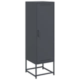 Vidaxl hoge kast 36x39x123 cm staal antracietkleurig