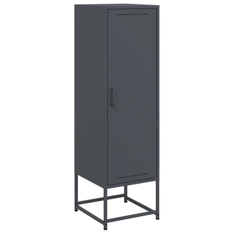 Vidaxl hoge kast 36x39x123 cm staal antracietkleurig