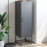 Vidaxl hoge kast 36x39x123 cm staal antracietkleurig