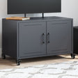 Vidaxl tv-meubel 68x39x43,5 cm staal antracietkleurig