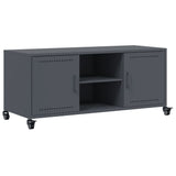 Vidaxl tv-meubel 100,5x39x43,5 cm staal antracietkleurig
