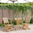 Vidaxl 3-delige bistroset poly rattan en massief hout beige