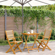 Vidaxl 3-delige bistroset polypropeen en massief hout beige