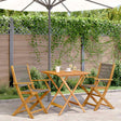 Vidaxl 3-delige bistroset polypropeen en massief hout grijs
