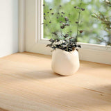 Vidaxl vensterbanken 2 st onbehandeld 70x15x2 cm massief eikenhout