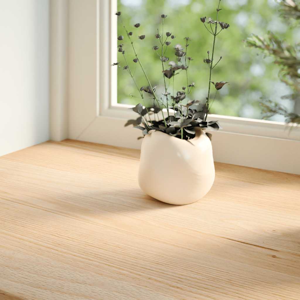 Vidaxl vensterbanken 2 st onbehandeld 100x20x2 cm massief eikenhout