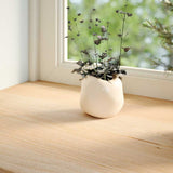 Vidaxl vensterbanken 2 st onbehandeld 110x20x2 cm massief eikenhout