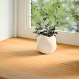 Vidaxl Window Sills 2 St 70x15x2 cm Solid eg lysebrun