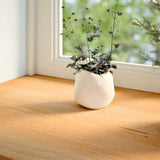 Vidaxl Window Sills 2 St 80x20x2 cm Solid eik lysebrun