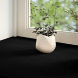 Vidaxl Window Sills 2 PCS 160x15x2 cm solid eg mørkebrun