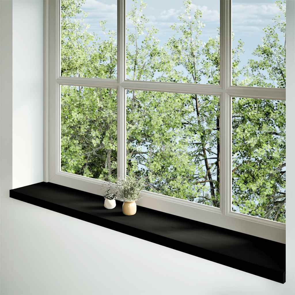 Vidaxl Fenster Dills 2 PCs 160x30X2 cm SolT Outwout donkelbrong