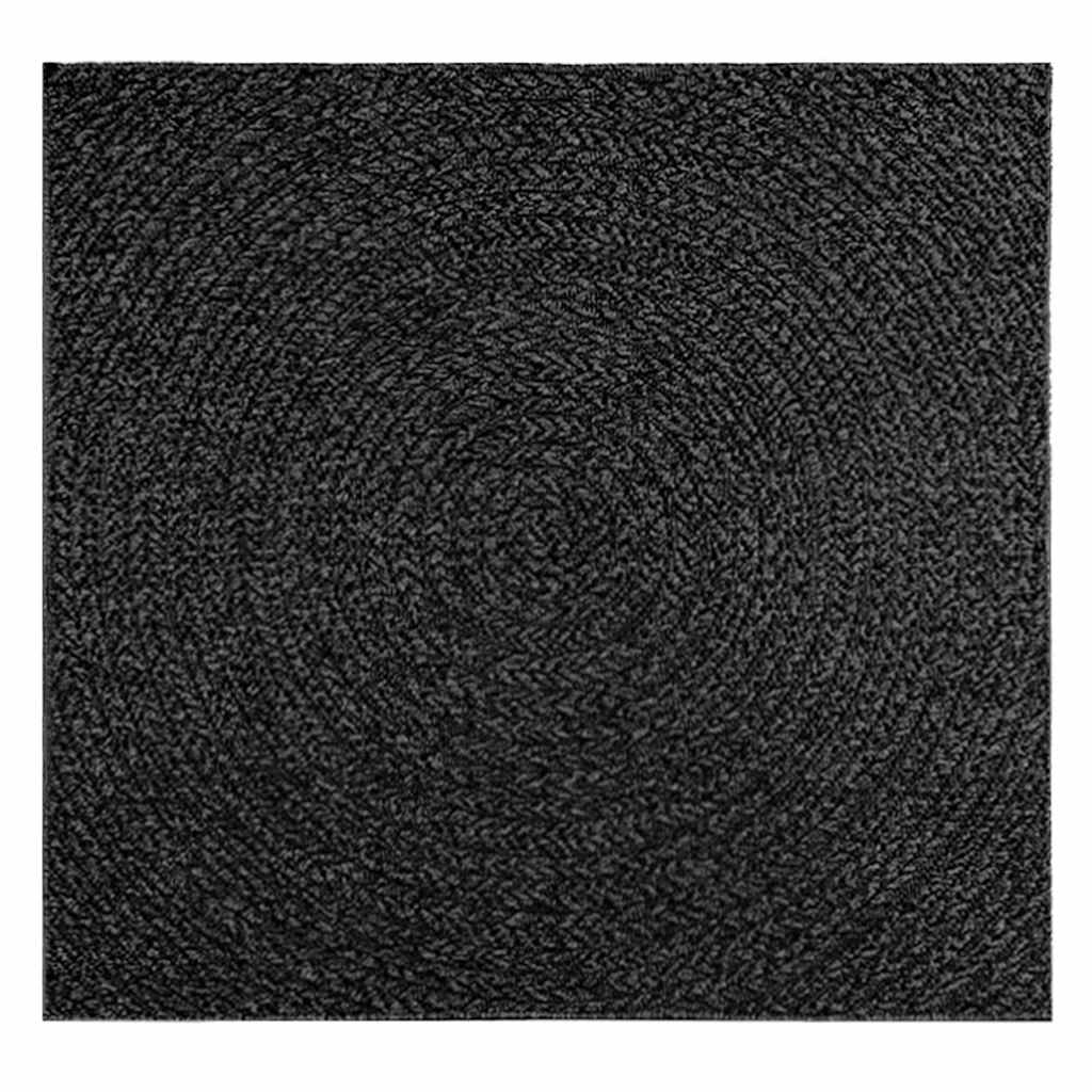 Vidaxl Rug Zizur Uvnitř a vně 120x120cm juta vypadat antracit