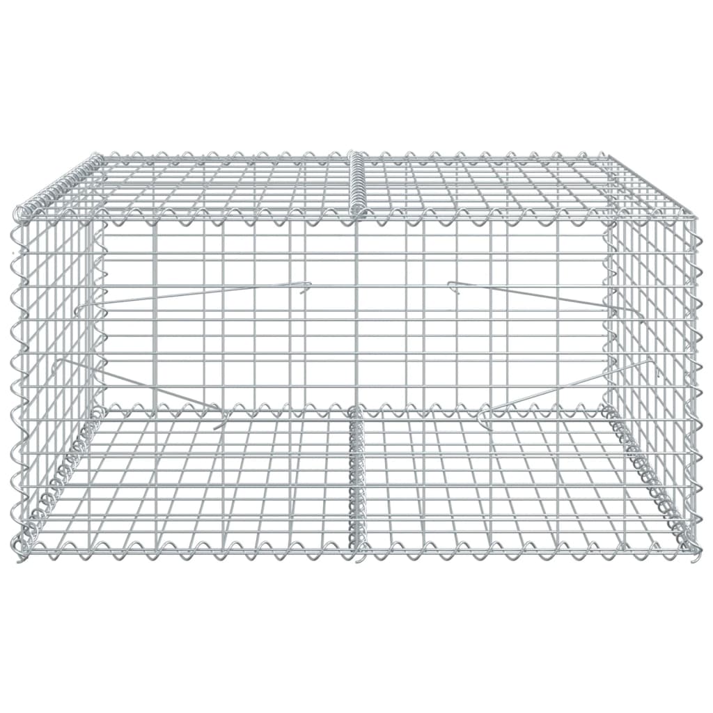 Vidaxl shananskorf 100x100x50 cm galvaniséiert Eisen Sëlwer faarweg