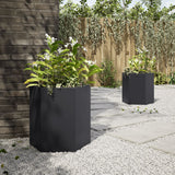 Vidaxl plantenbakken 2 st zeshoek 46x40x45 cm staal zwart