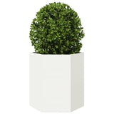 Vidaxl plantenbak zeshoek 46x40x45 cm staal wit