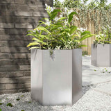 Vidaxl plantenbak zeshoek 46x40x45 cm roestvrijstaal