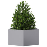 Vidaxl plantenbak zeshoek 104x90x45 cm gegalvaniseerd staal