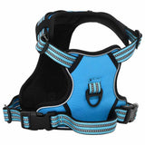 Vidaxl hondentuigje met riem en halsband verstelbaar xl blauw