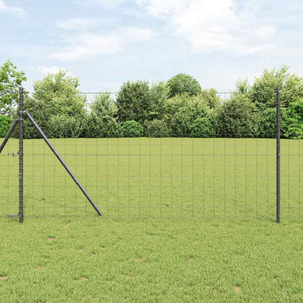 Vidaxl hek met paal grijs 1 x 10 m staal