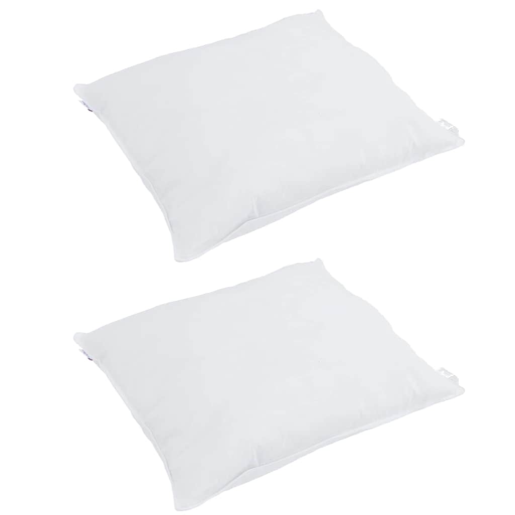 Vidaxl hoofdkussen met kussen 2 pcs wit 40 x 40 cm veren