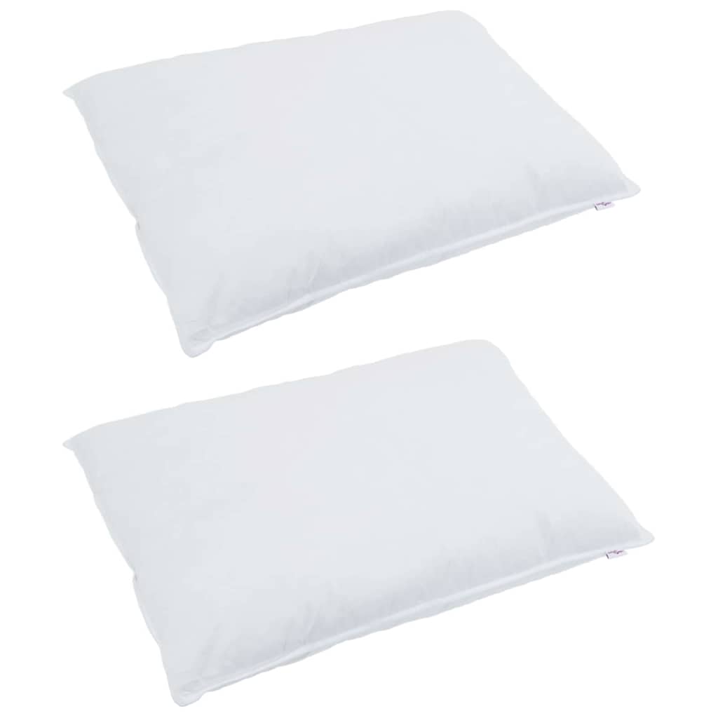 Vidaxl hoofdkussen met kussen 2 pcs wit 40 x 60 cm veren