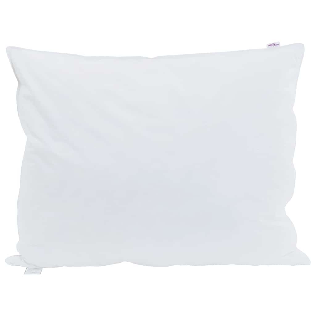 Vidaxl hoofdkussen met kussen 2 pcs wit 50 x 70 cm veren