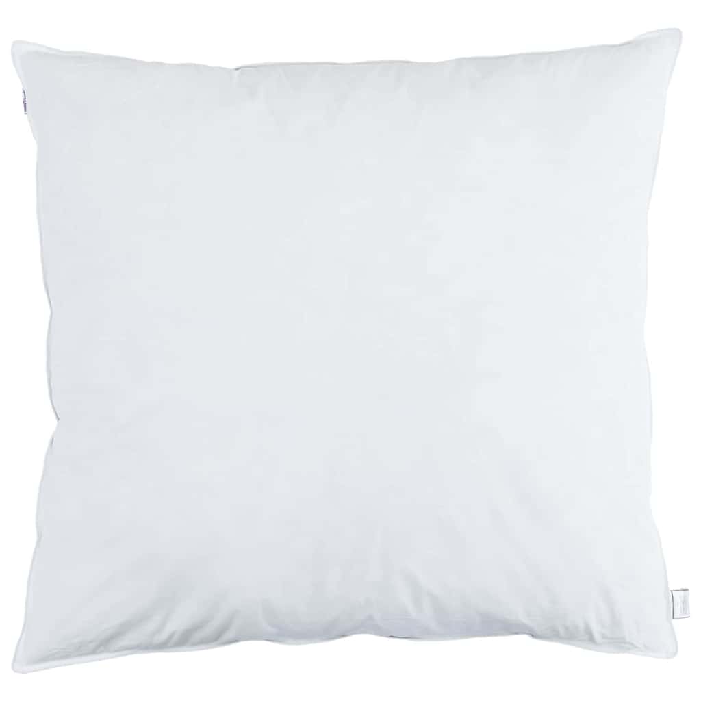 Vidaxl hoofdkussen met kussen 2 pcs wit 65 x 65 cm veren
