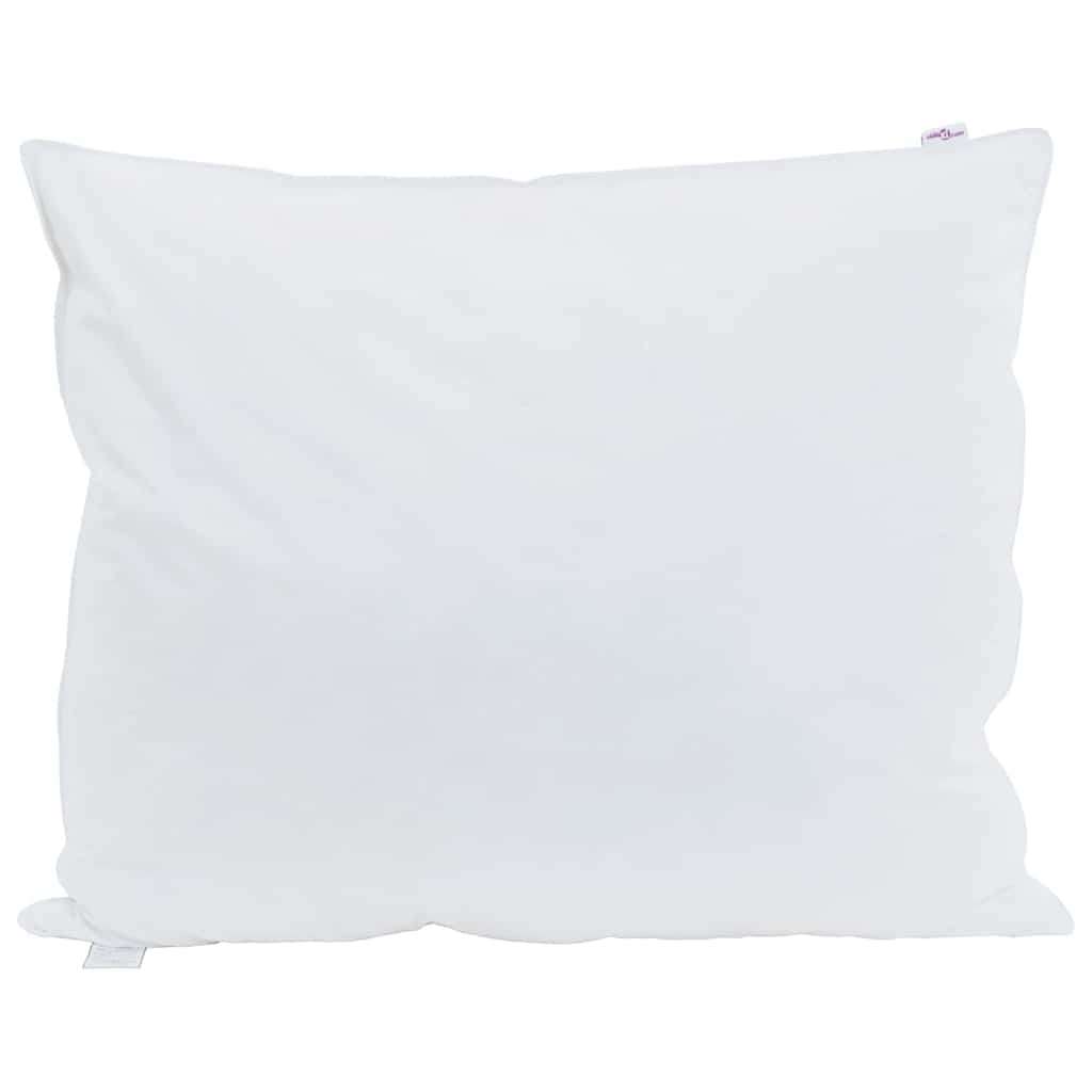 Vidaxl hoofdkussen met kussen 2 pcs wit 60 x 70 cm veren