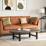 Vidaxl salontafelpoten 2 st 70x(30-31) cm staal zwart