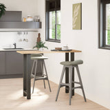Vidaxl bartafelpoten 2 st 40x(100-101) cm staal antraciet